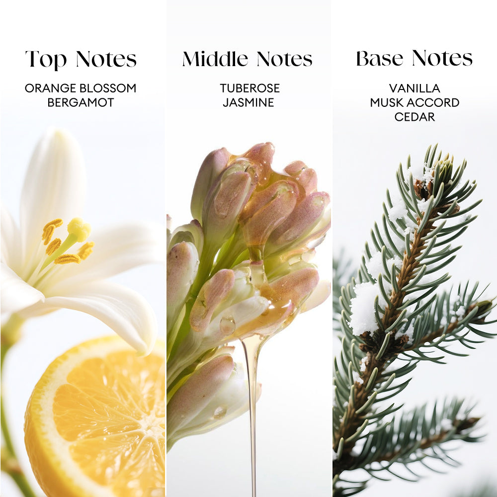 O.Two.O Tube Rose Perfume (PF01)