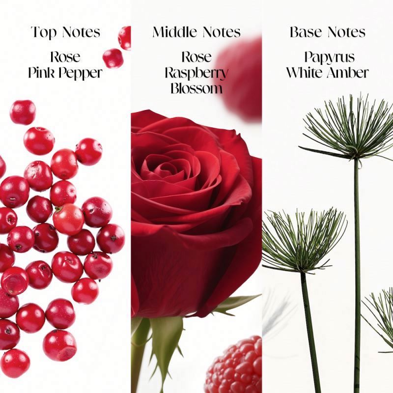 O.Two.O Wild Rose Perfume (PF02)